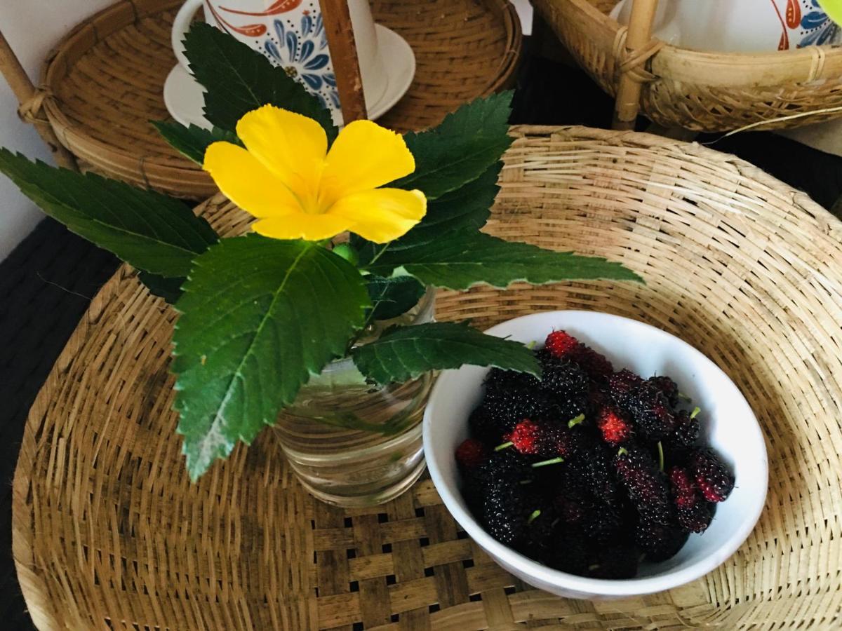 Mae-Sa-Riang Home メーサリエン エクステリア 写真