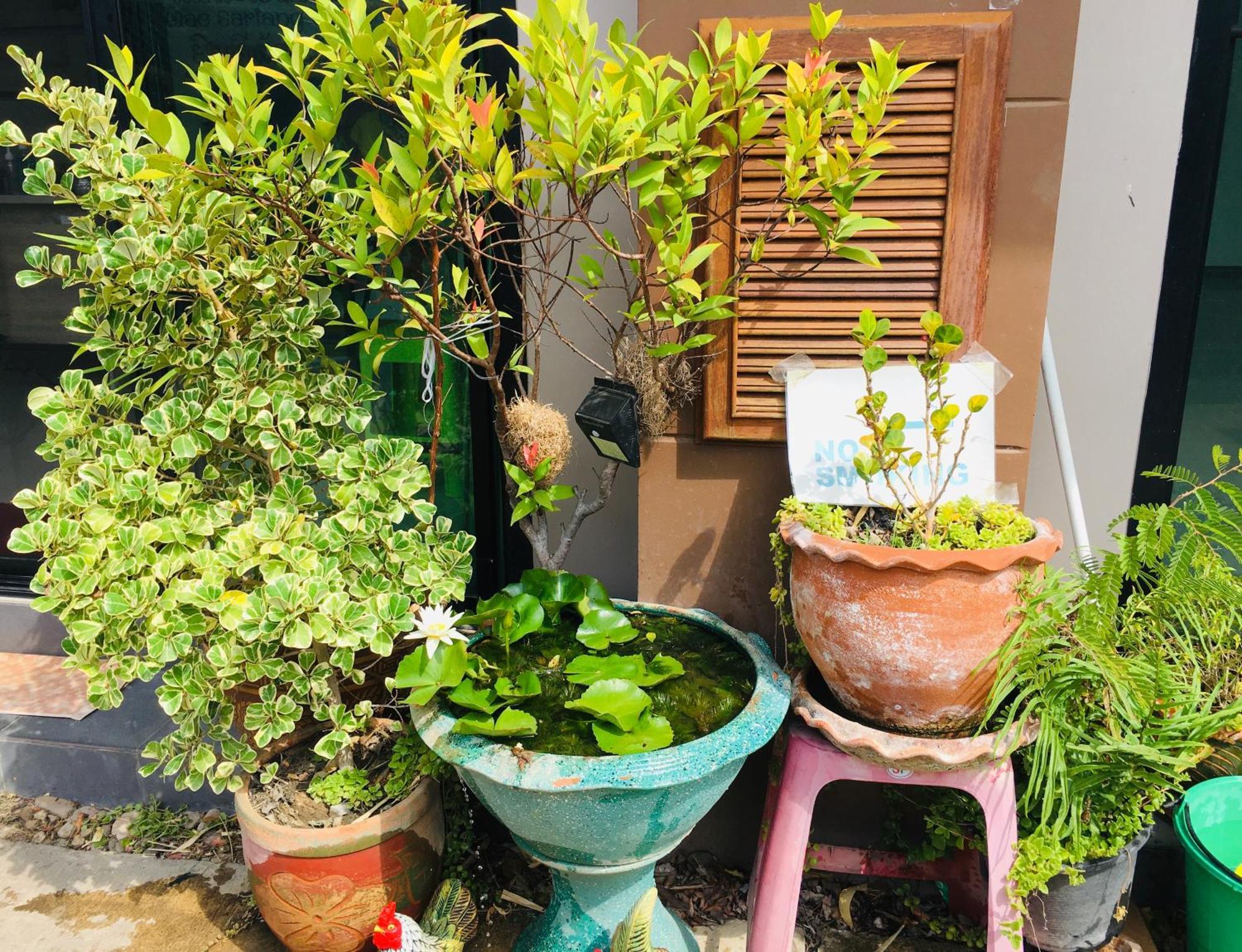 Mae-Sa-Riang Home メーサリエン エクステリア 写真
